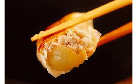 まるごとにんにく餃子【ぎょうざの山八】[H2082]
