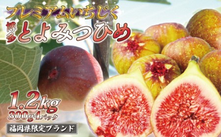 【2026年8月より順次発送】福岡県産とよみつひめ　約300g×4パック[H2223]