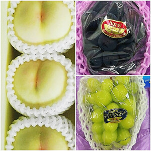 岡山県産 フルーツ定期便全３回＜お一人様向け＞