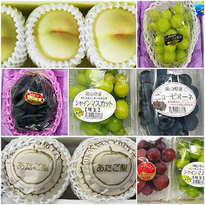 岡山県産 フルーツ定期便全6回＜お一人様向け＞