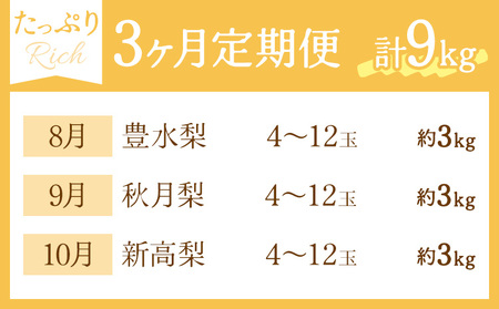秀品 3ヶ月連続 梨の定期便 リッチ 計9kg 日本フルーツ株式会社《8月上旬-10月末頃出荷》熊本県 荒尾市  梨 なし 豊水梨 秋月梨 新高梨 果物 フルーツ 定期便