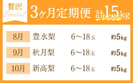 秀品 3ヶ月連続 梨の定期便 スペシャル 計15kg 日本フルーツ株式会社《8月上旬-10月末頃出荷》熊本県 荒尾市  梨 なし 豊水梨 秋月梨 新高梨 果物 フルーツ 定期便