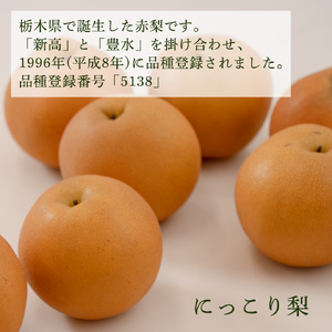 ＜農家直送＞梨 にっこり 4～6個 (3kg) 先行予約 2026年発送 完熟 フルーツ 果物 産地直送 糖度 高い 梨 茨城 人気  (BB006)