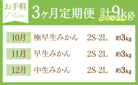 秀品 温州みかん 3ヶ月 定期便 ミニ 計9kg 日本フルーツ株式会社《10月上旬-12月末頃出荷》熊本県 荒尾市 みかん 温州みかん ミカン 蜜柑 柑橘類 極早生 早生 中生 果物 フルーツ