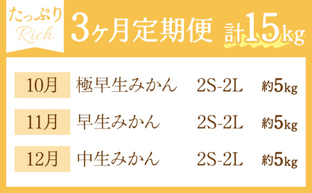 秀品 温州みかん 3ヶ月 定期便 リッチ 計15kg 日本フルーツ株式会社《10月上旬-12月末頃出荷》熊本県 荒尾市 みかん 温州みかん ミカン 蜜柑 柑橘類 極早生 早生 中生 果物 フルーツ