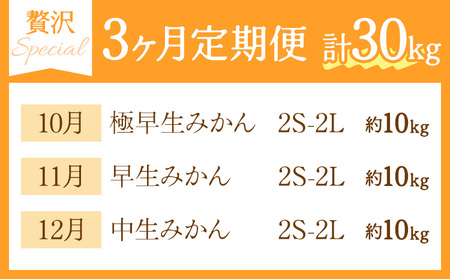 秀品 温州みかん 3ヶ月 定期便 スペシャル 計30kg 日本フルーツ株式会社《10月上旬-12月末頃出荷》熊本県 荒尾市 みかん 温州みかん ミカン 蜜柑 柑橘類 極早生 早生 中生 果物 フルーツ