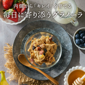 【豆腐屋の娘が造るシリーズ】おからグラノーラ（180ｇ）006TM01N.／おから 豆腐 グラノーラ  グルテンフリー スイーツ ふるさと納税3.0