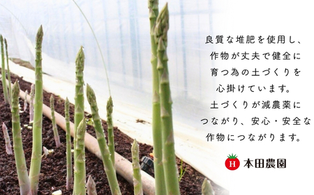 アスパラガス 1kg (訳アリ) 野菜 訳あり アスパラ | 石川県 小松市 本田農園