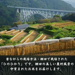 高千穂郷 ひのひかり 20kg （ 5kg × 4袋 ）