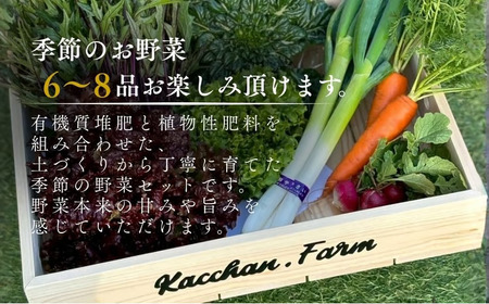 季節の野菜詰め合わせ Aセット 野菜食べ比べ 旬の野菜 野菜セット | 石川県 小松市【Kacchan.Farm】
