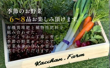 【定期便3ヶ月】季節の野菜詰め合わせ Aセット 野菜食べ比べ 旬の野菜 野菜セット定期便 | 石川県 小松市【Kacchan.Farm】