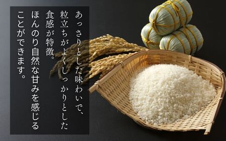 【令和7年産米】青森ブランド米 まっしぐら5kg 白米[fu-0029-003]