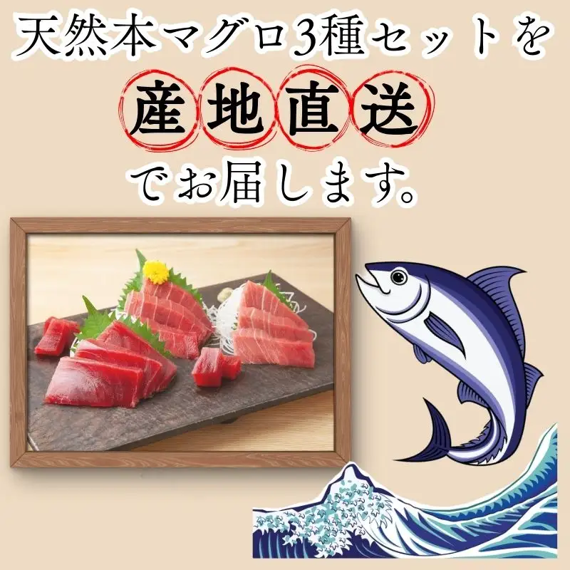 【出荷時期：7月上旬～】本マグロ 3種 赤身 中トロ 大トロ 各1柵 国産 本鮪[fu-0027-001]
