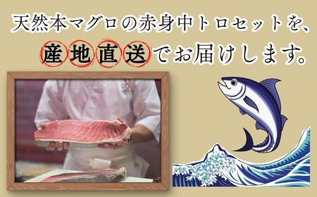  【ふるなびWEEK対象】【出荷時期：7月上旬～】本マグロ 赤身 中トロ 各1柵 セット 国産 本鮪[fu-0027-002]
