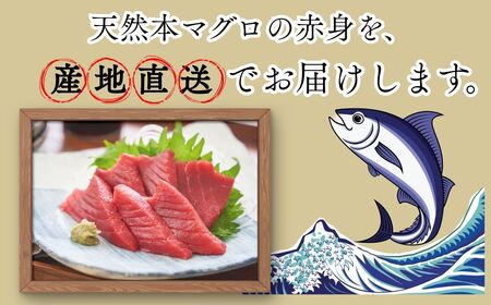  【ふるなびWEEK対象】本マグロ 赤身 1柵 国産 本鮪[fu-0027-004]