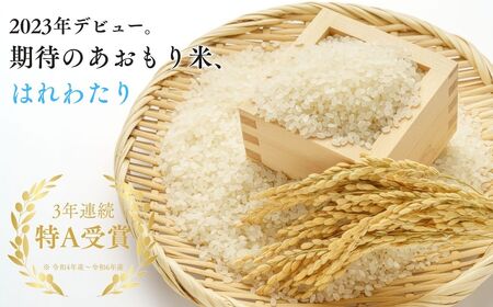  【ふるなびWEEK対象】【令和8年産　新米】青森ブランド米 はれわたり 玄米 1袋 5kg [fu-0024-002]