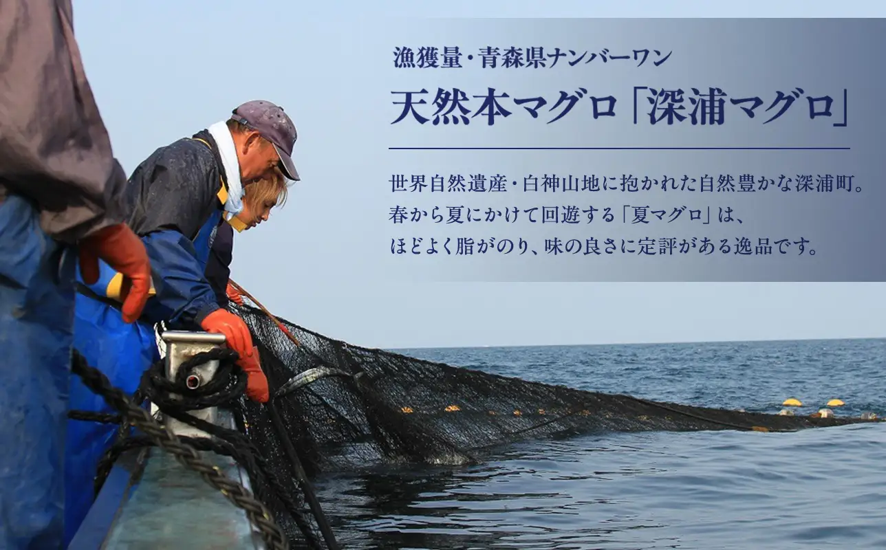 天然 本マグロ 漬け なめろう 2種セット 国産 本鮪[fu-0012-001]