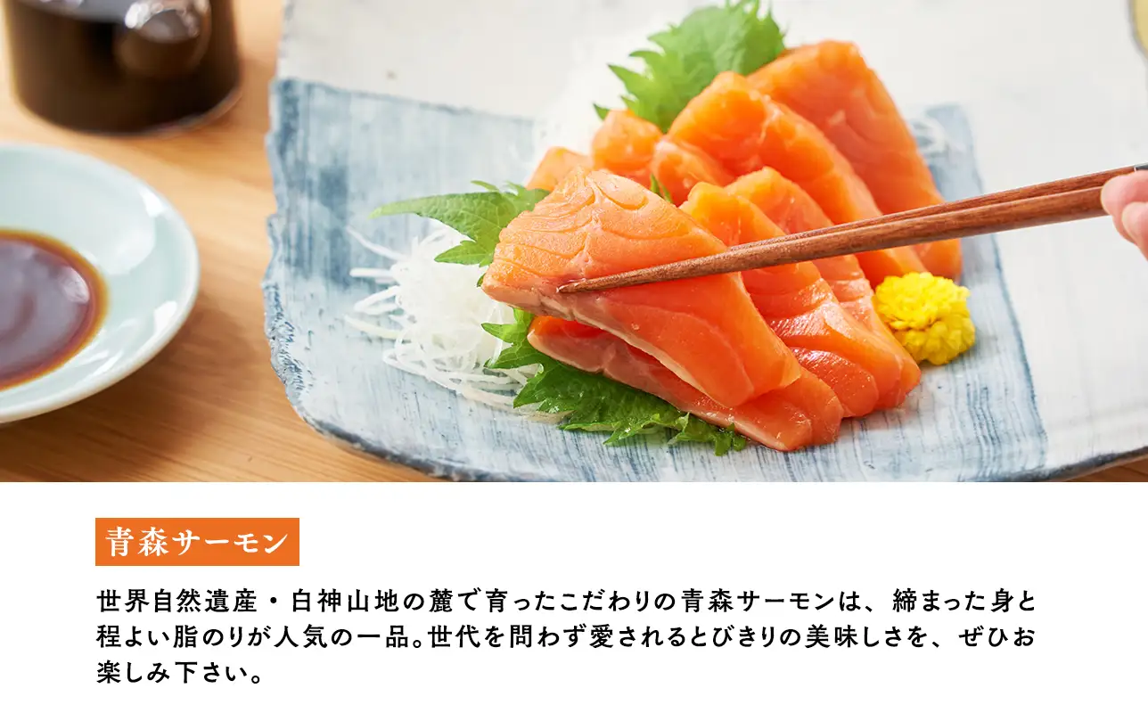  【ふるなびWEEK対象】青森サーモン サク 200g ネギトロ 300g  セット  [fu-0012-005]
