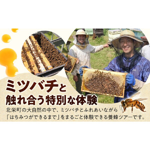 1282.【要予約 大人1名様用】あんどう養蜂 まるごと養蜂体験（約3時間）はちみつ600g付き