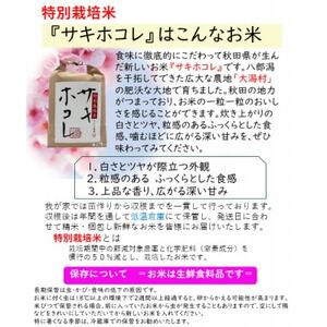【3ヵ月毎定期便】特別栽培米サキホコレ10kg(5kgx2)全2回【配送不可地域：離島・沖縄県】【4083097】