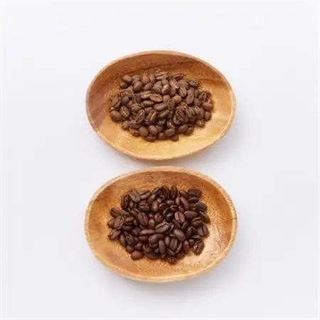 【豆:2種計400g】自家焙煎コーヒー豆(200g×2)　里山ROASTERYお楽しみセット【1695709】