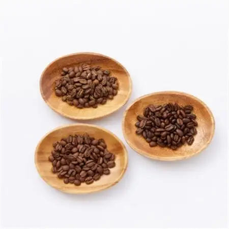 【豆:3種計600g】自家焙煎コーヒー豆(200g×3)　里山ROASTERYお楽しみセット【1695726】