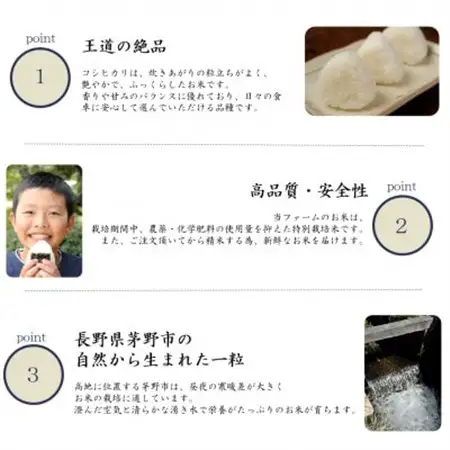 長野県産特別栽培米　コシヒカリ　精米　5kg【1716831】
