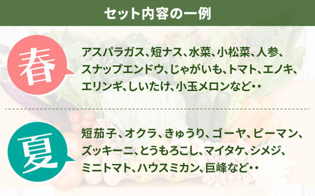 【24回定期便】野菜定期便15品目以上 [SCZ003]