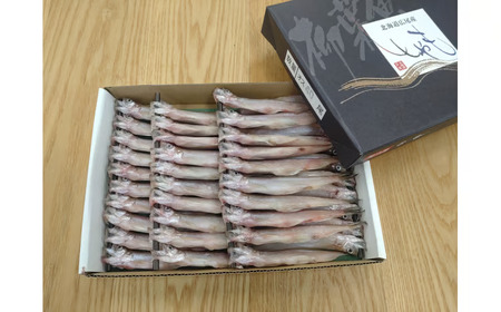 岡嶋水産　生乾しししゃも中オス40尾(C0040)