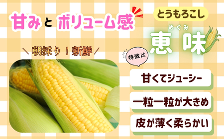 とうもろこし（恵味）・枝豆セット《2026年7月上旬頃より出荷予定》木内ファーム_とうもろこし Ca-006