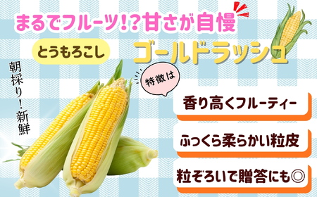 とうもろこし・枝豆セット 木内ファーム_とうもろこし Ca-005
