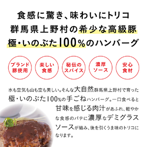ブランド豚100％煮込みハンバーグ　220ｇ×5個 [H2091]
