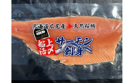 海産問屋カネニ　船上活〆天然冷凍サクラマス（半身2枚　計1ｋｇ）（D0008）