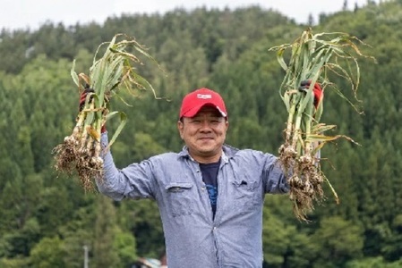 丸美農園 田子町産【遠赤外線熟成】黄金の黒にんにく(Mサイズ)　12個