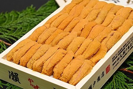 エゾバフンウニ(黄系)100～110g×2折 F-29002