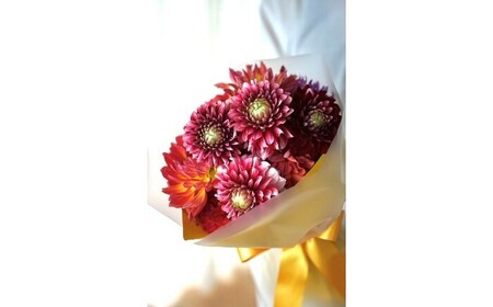 【3回定期便】ダリア花束初回花瓶付き / ダリア お花 フラワー 大輪 花束 定期便 高知 生花 誕生日 ギフト 季節の花 延命剤付き インテリア 華やか 自分へのご褒美【株式会社tomoni】[ATCG050]