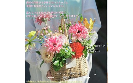 【3回定期便】季節の生花バスケットフラワーM / お花 フラワー アレンジメント バスケットフラワー そのまま飾れる 作家 手作り カゴバッグ 旬の生花 定期便 ナチュラル インテリア お祝い 高知市【株式会社tomoni】[ATCG053]