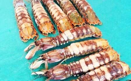 小樽産 剥き シャコオス・メス 各10本 （約200～400g） 蝦蛄 刺し身 小樽 剥きシャコ 新鮮 真空パック 解凍 刺身 シャコ