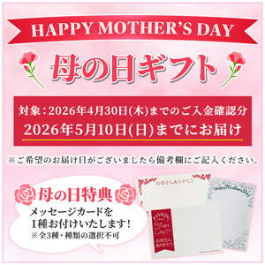 ＼令和8年 母の日／新食感のチョコレートケーキ　チョコレンガ ・ チョコ クッキー  詰め合わせセット【MDA-002H】