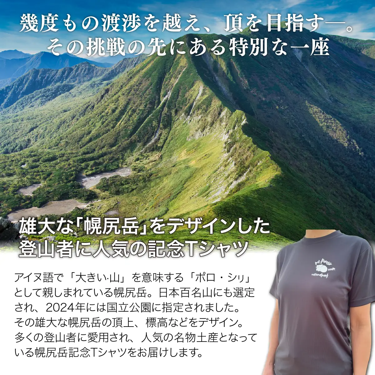 【日本百名山】【2026年限定】幌尻岳記念山詩Tシャツ（グレー Lサイズ） BRTJ042