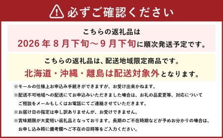 岡山県産 シャインマスカット 「 晴王 」 と ニューピオーネ Lサイズ 計約800g ぶどう ブドウ 葡萄 くだもの 果物 果実 フルーツ 国産 マスカット 【 2026年8月下旬～9月下旬発送予定 】