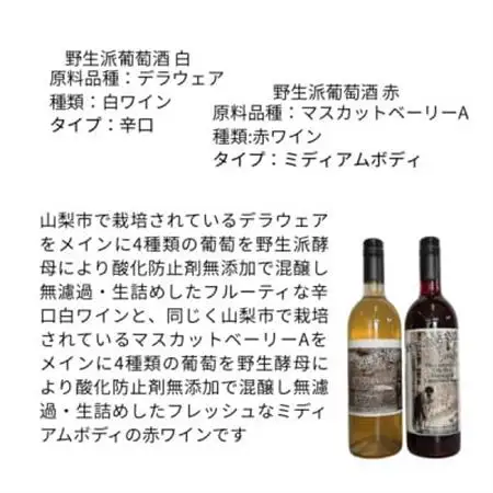 東晨洋酒 野生派葡萄酒 白赤セット 無添加ワイン　合計2本(720ml×各1本)【1706047】