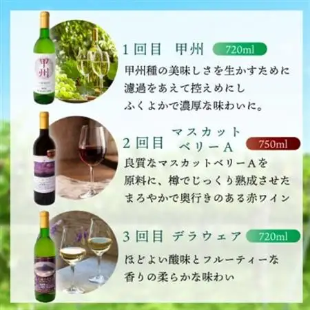 【毎月定期便】山梨 八幡洋酒 白ワイン 赤ワイン 飲み比べ 定期便 ぶどう農家全3回【4082278】