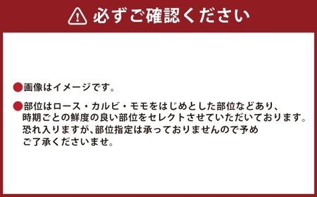 【和牛セレブ】神戸牛6種の希少部位焼肉食べ比べ 約500g 牛肉 肉 牛 神戸ビーフ 冷凍 にく ニク 焼肉 セット 神戸牛