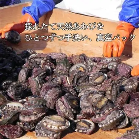 三陸小本浜産冷凍天然あわび　600g(6個入り)【配送不可地域：離島】【1717034】