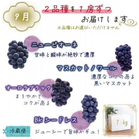 【発送月固定定期便】岡山　花笑み農園のブドウ食べ比べ　全4種全2回【配送不可地域：離島】【4083154】
