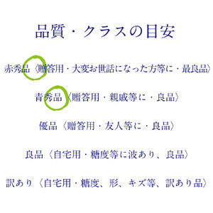 [HS]【定期便全2回】ぶどう先行予約9月・10月発送シャインマスカット晴王2k箱（3～5房）