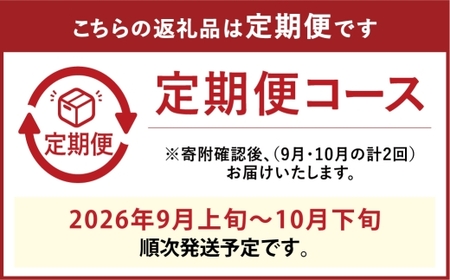 [HS]【定期便 全2回】ぶどう 最高級品シャイン マスカット 晴王 1房 約700g【2026年9月上旬～10月下旬発送】【ブドウ 葡萄  岡山県産 船穂産 フルーツ 果物 ギフト】