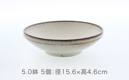 【美濃焼】クレタ 切立リム型 5.0鉢 5点セット【カネ定製陶】 ボウル 食器セット ナチュラル[MEI267]
