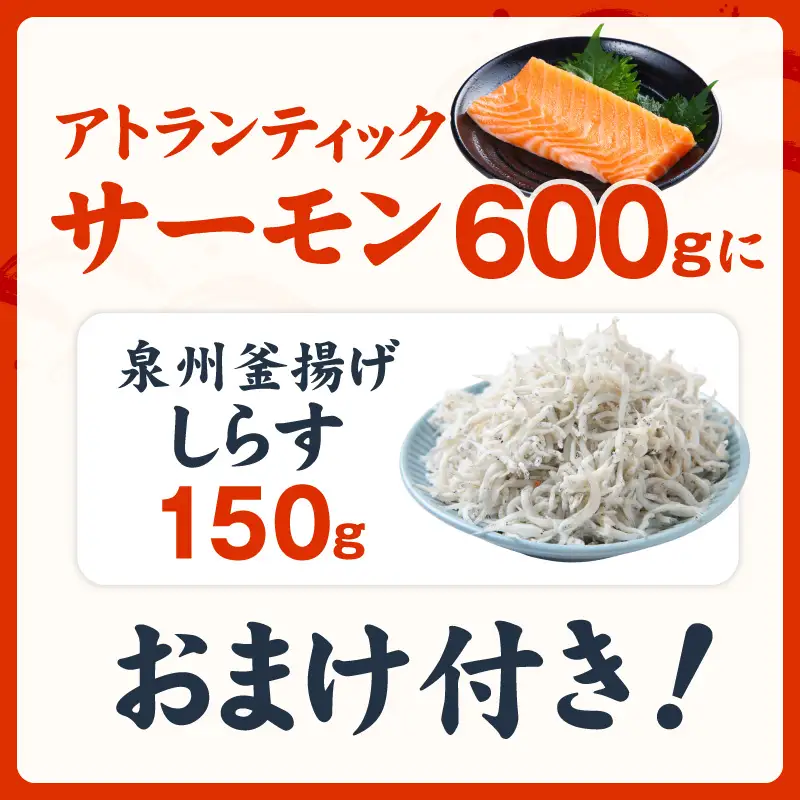 アトランティックサーモン 600g+おまけしらす150g